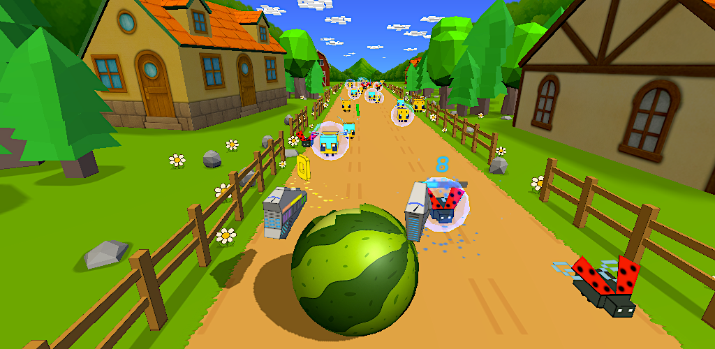 Watermelon Rush Game Screenshot